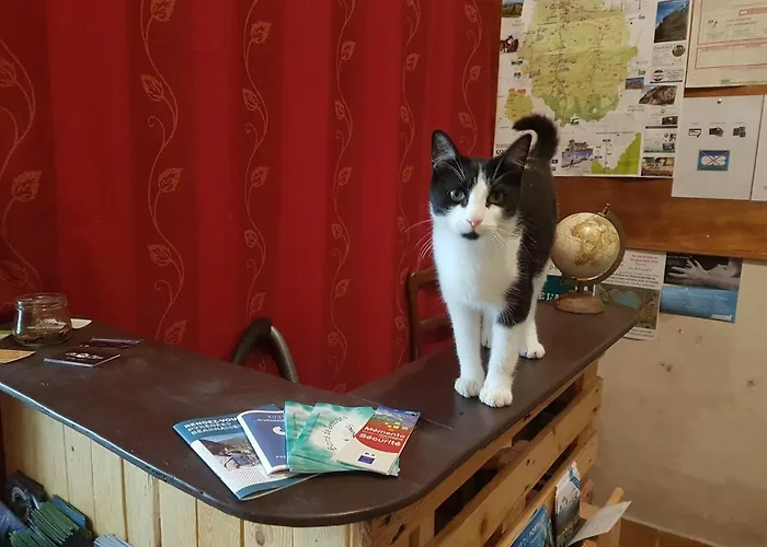 Chaneue * Osse-en-Aspe